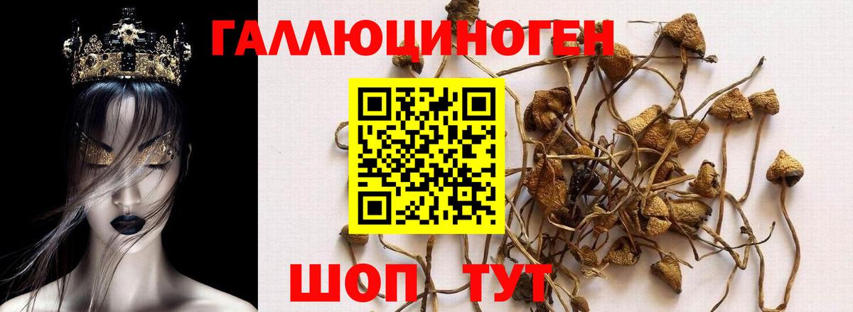 Галлюциногенные грибы Magic Shrooms  Вход с VPN  Россия  Галлюциногенные грибы Psilocybe 